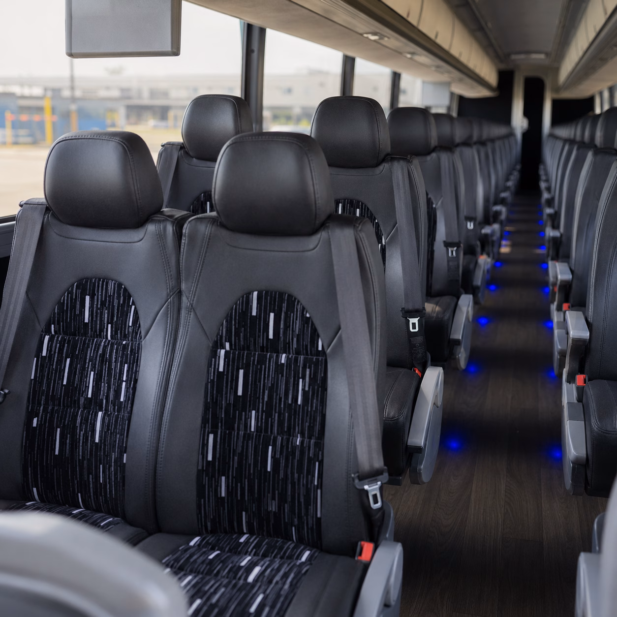 school buses for oakland zoo field trips from antioch